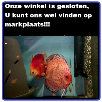 Voorbeeld - kopie (3) - kopie5